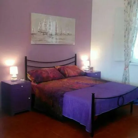 La Coccona *