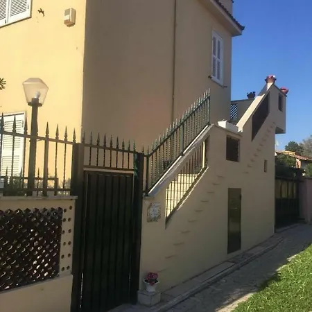 La Coccona *