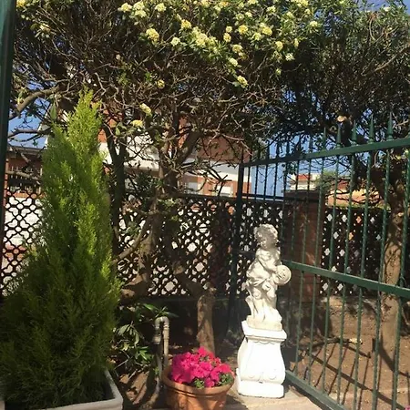 La Coccona